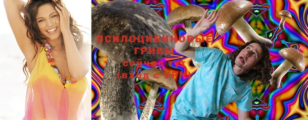 герыч Алексин