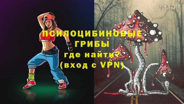 герыч Алексин