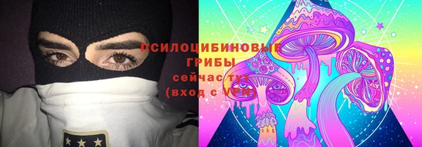 герыч Алексин