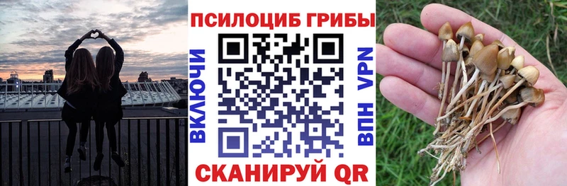 Галлюциногенные грибы Magic Shrooms Берёзовка