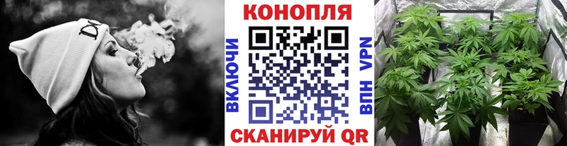 закладка  Берёзовка  Конопля AK-47 